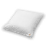 Kopfkissen BASIC (mit Federn und Daunen)