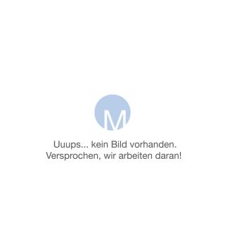 kein Bild vorhanden, wir bitten um Entschuldigung!
