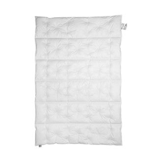 Leiches Bett - Daunendecke Mannsdörfer